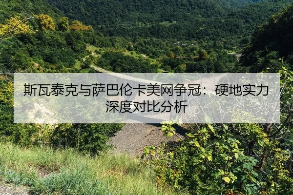 si-wa-tai-ke-yu-sa-ba-lun-ka-mei-wang-zheng-guan-ying-di-shi-li-shen-du-dui-bi-fen-xi-2-695.jpg